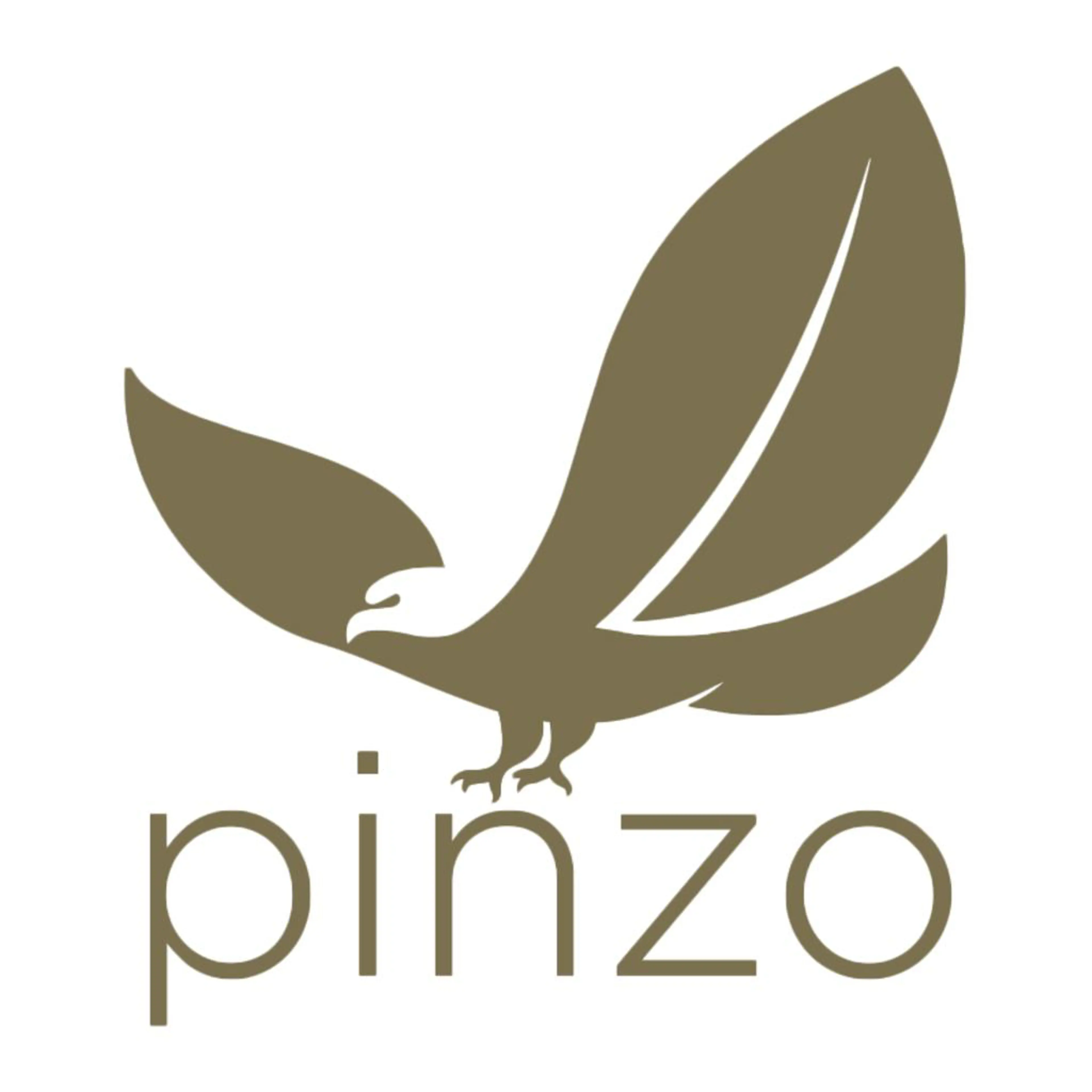 Pinzo