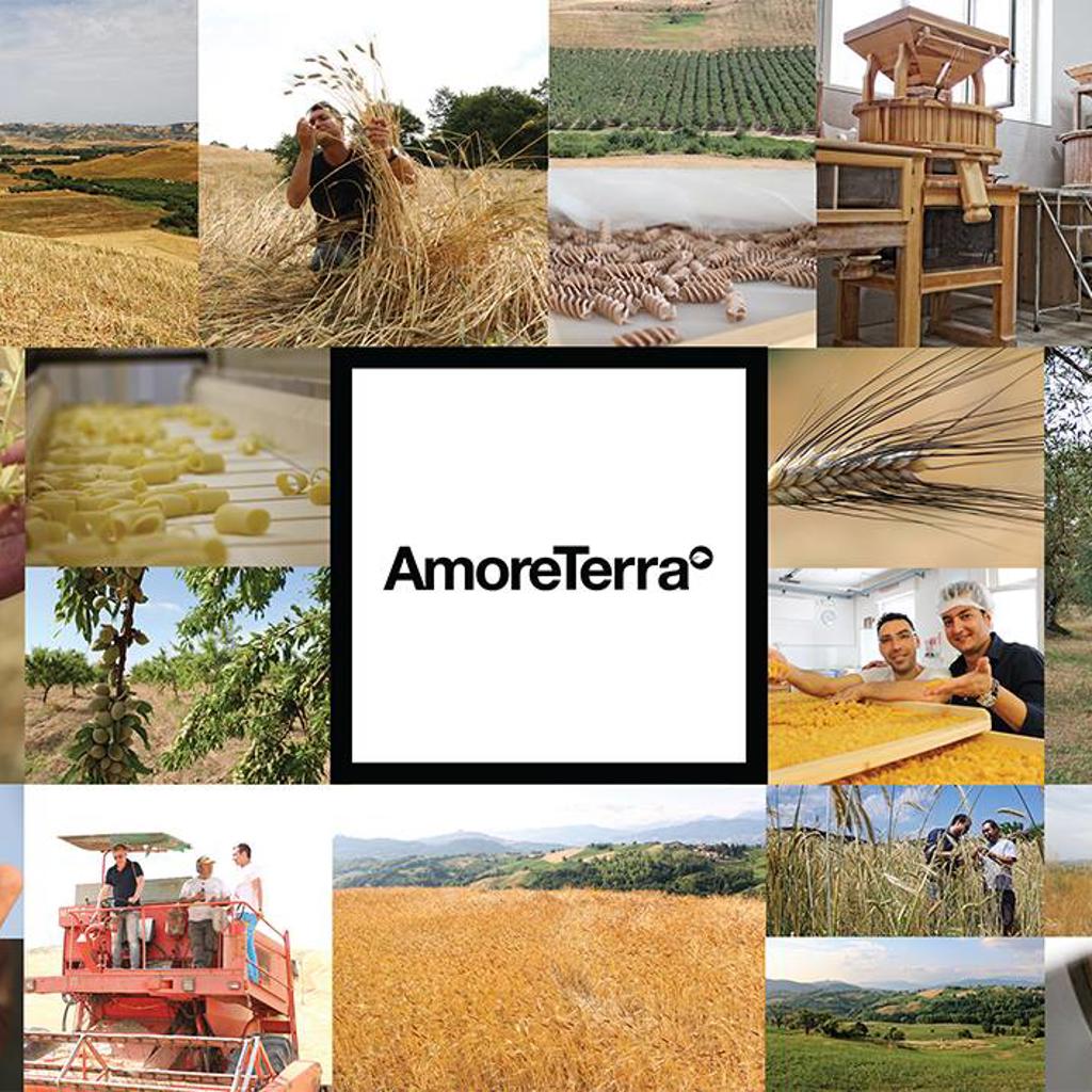 AmoreTerra shop