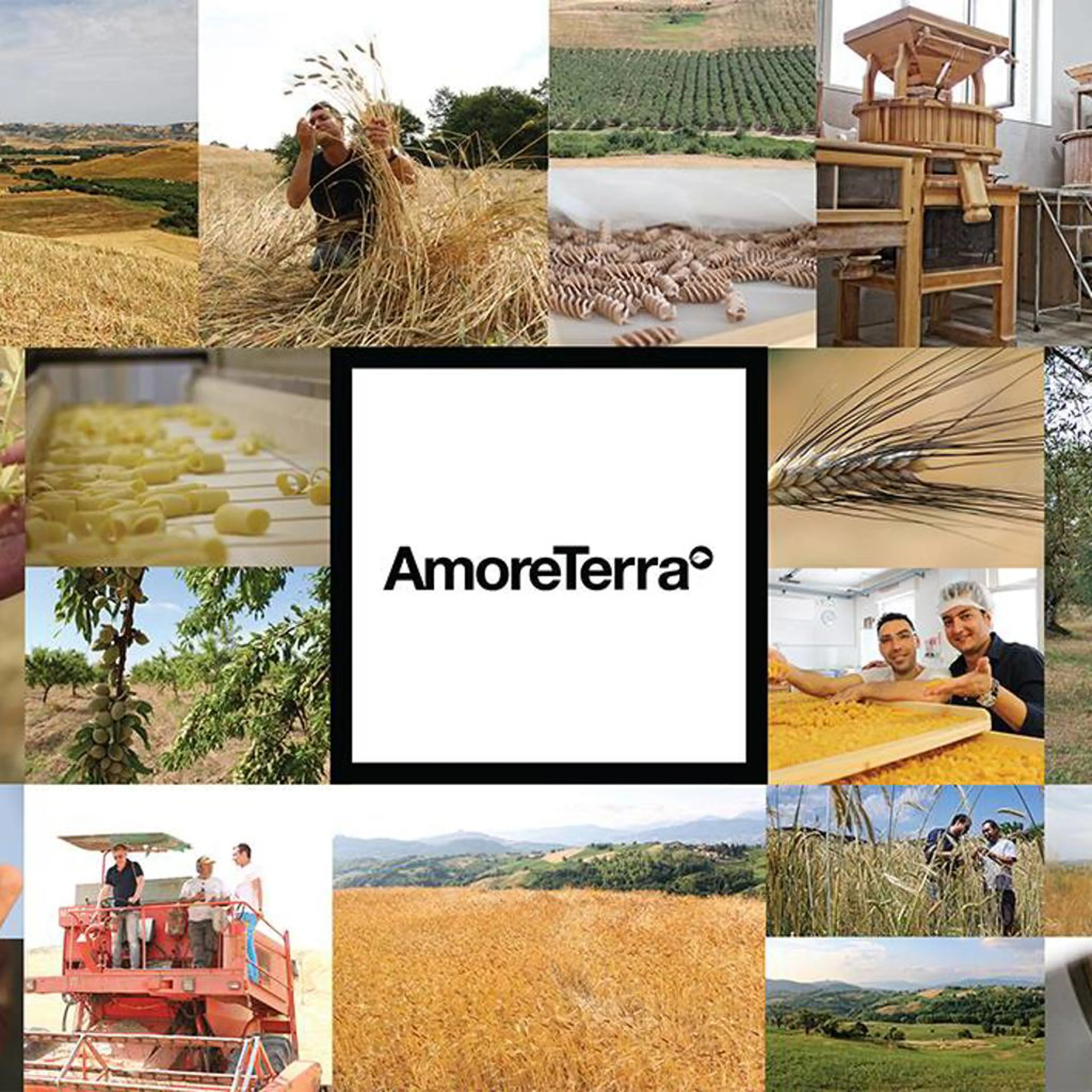 AmoreTerra shop