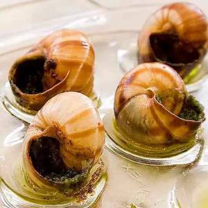 Snails à la Bourguignonne
