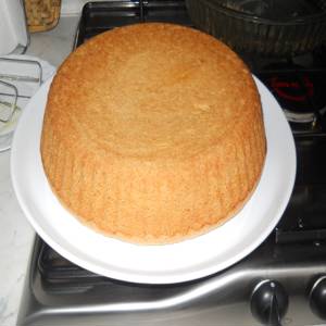 Pan Di Spagna Rapido