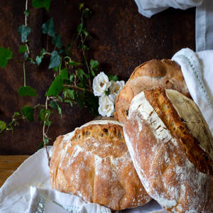 पने आल विन्कोट्टो