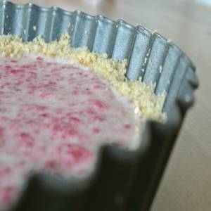 Panna cotta ai lamponi