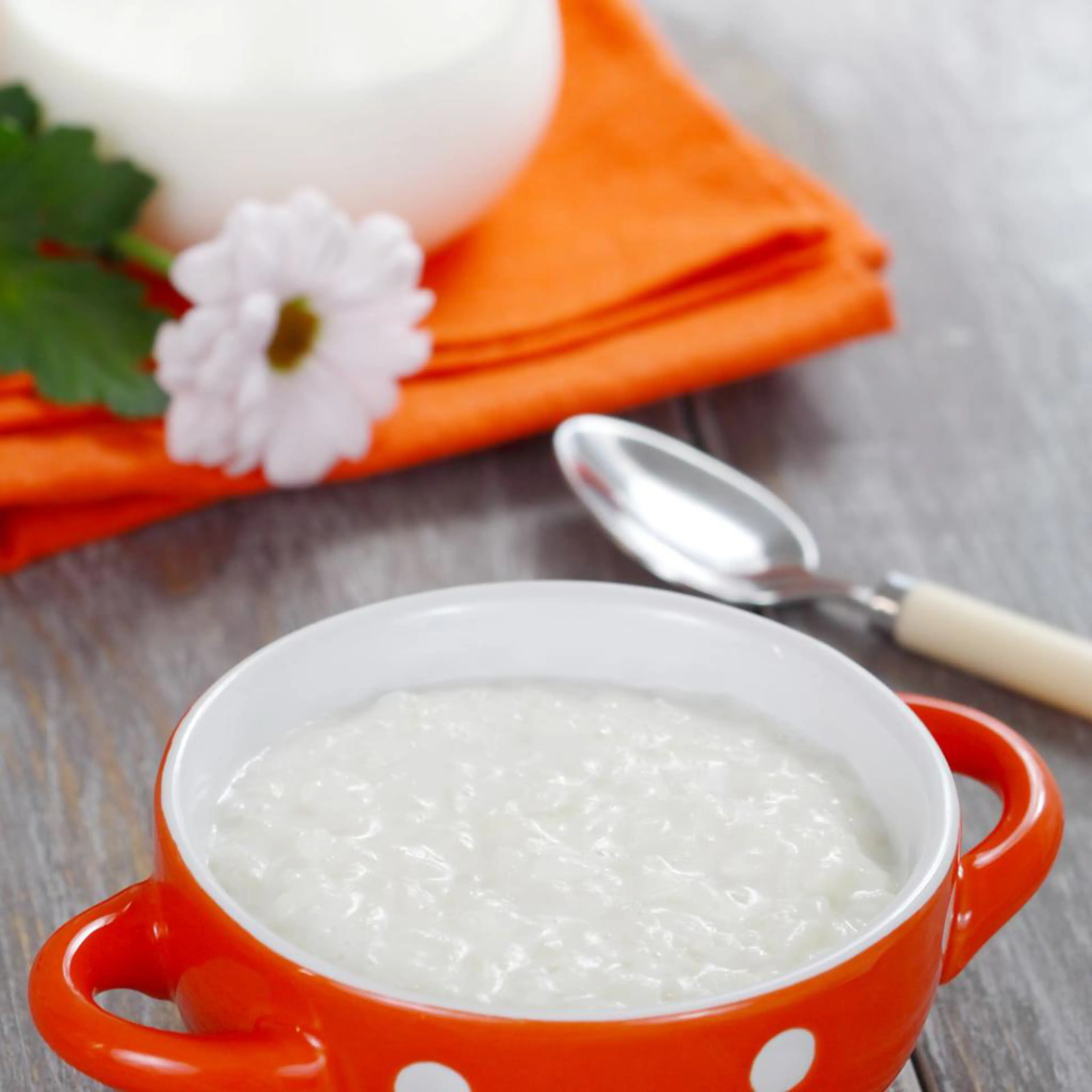 Reis - in Milch gekocht