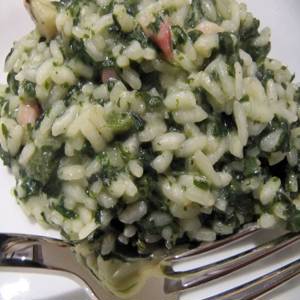 Risotto alle ortiche