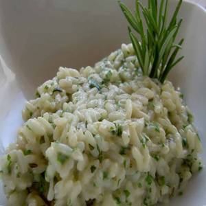 जड़ी-बूटियों के साथ रिसोट्टो