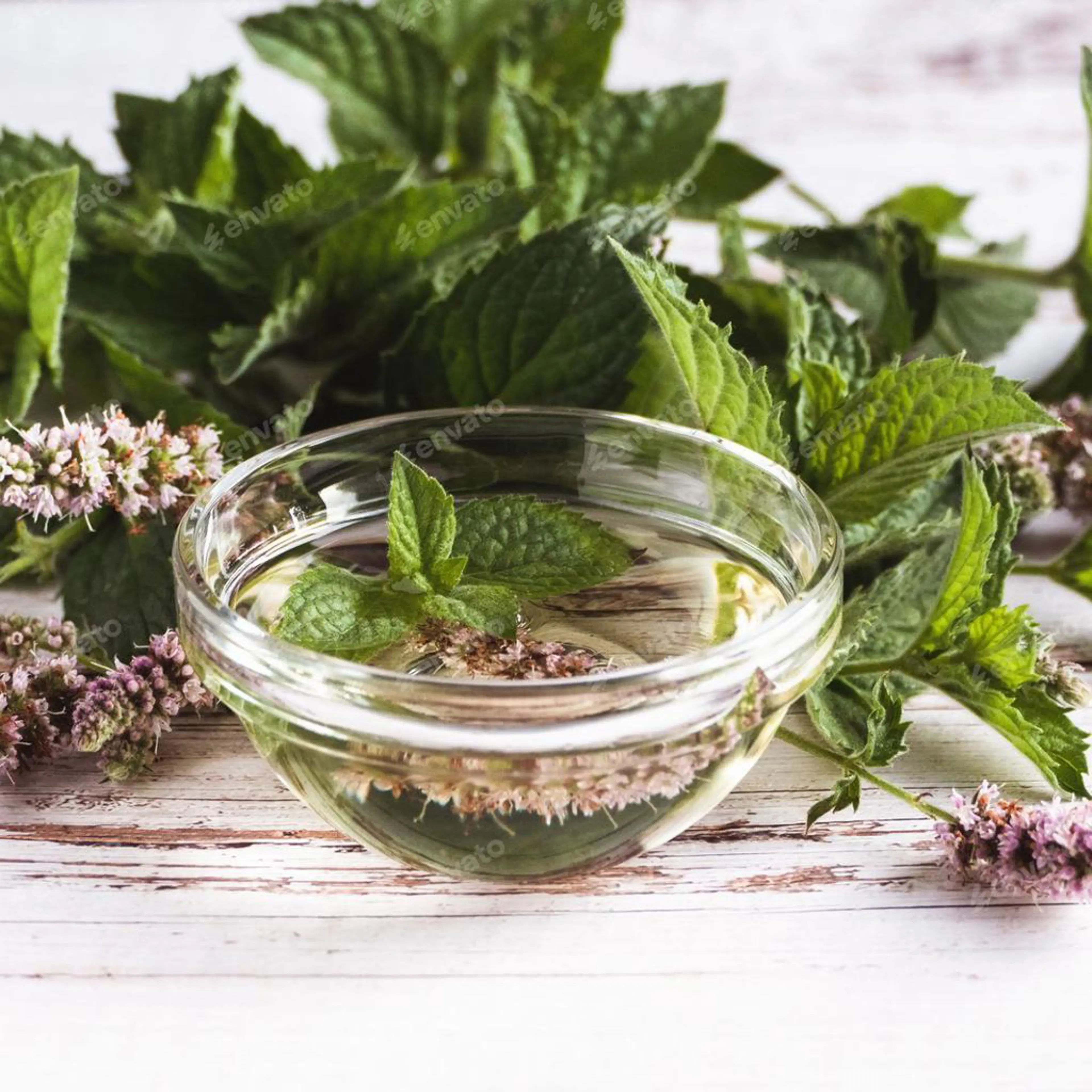 Mint and Flower Vinegar