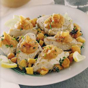 ديك رومي primavera