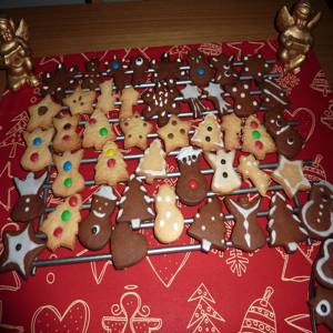 بسكوتيني بير لالبيرو