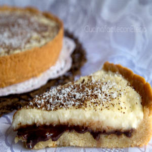 Coconut and Nutella Cake