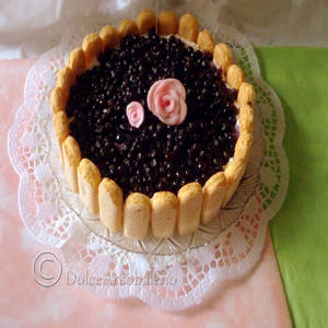 Blueberry Rice Cake