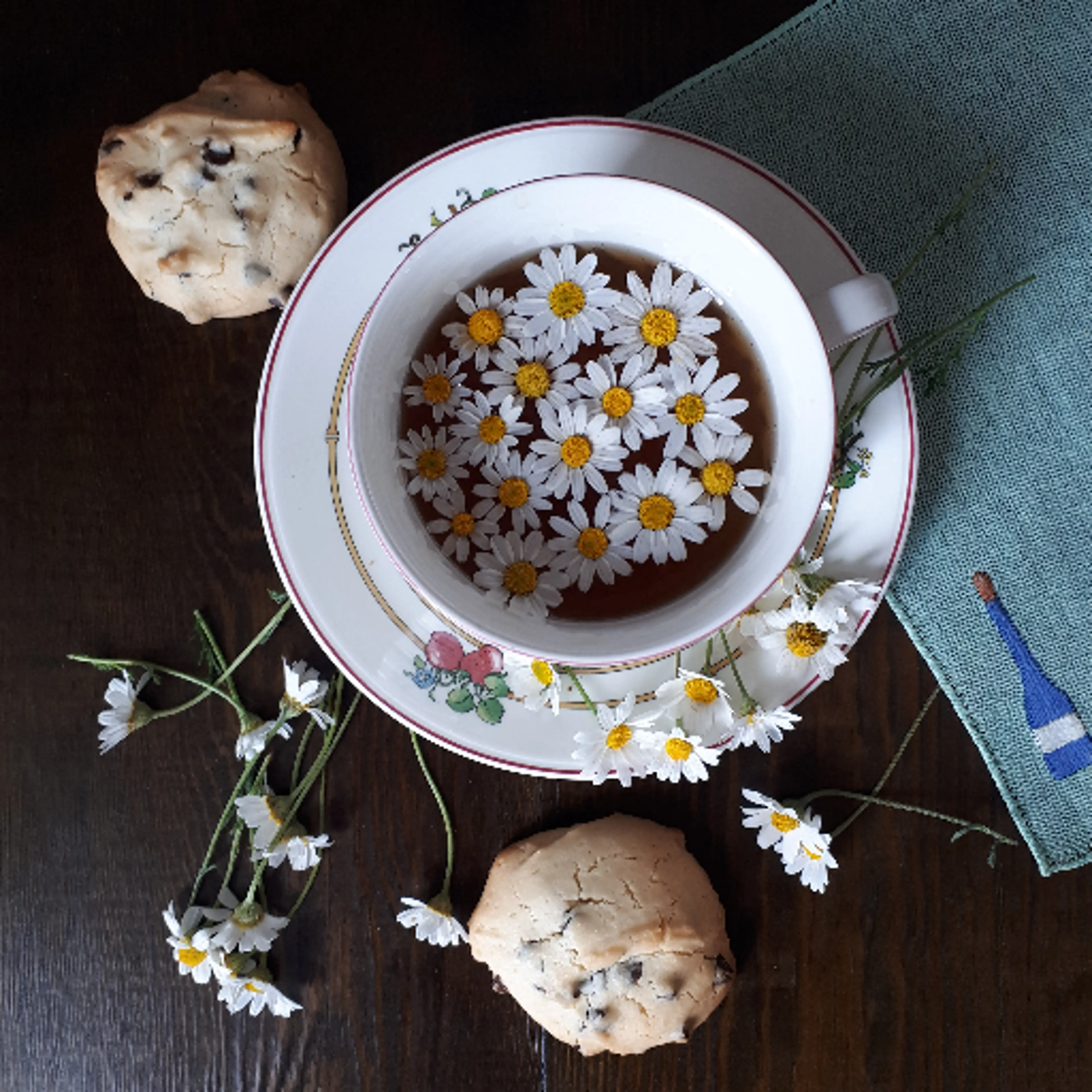 Galletas con pepitas de chocolate