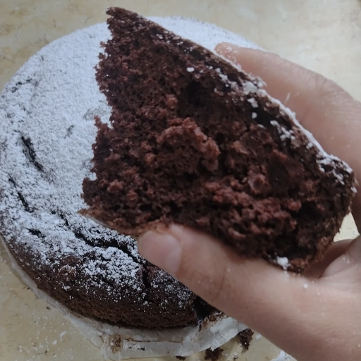 Torta esponjosa de cacao