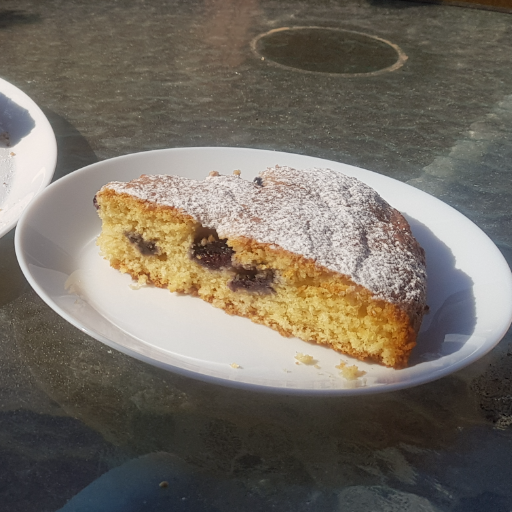 Torta ai mirtilli senza uova