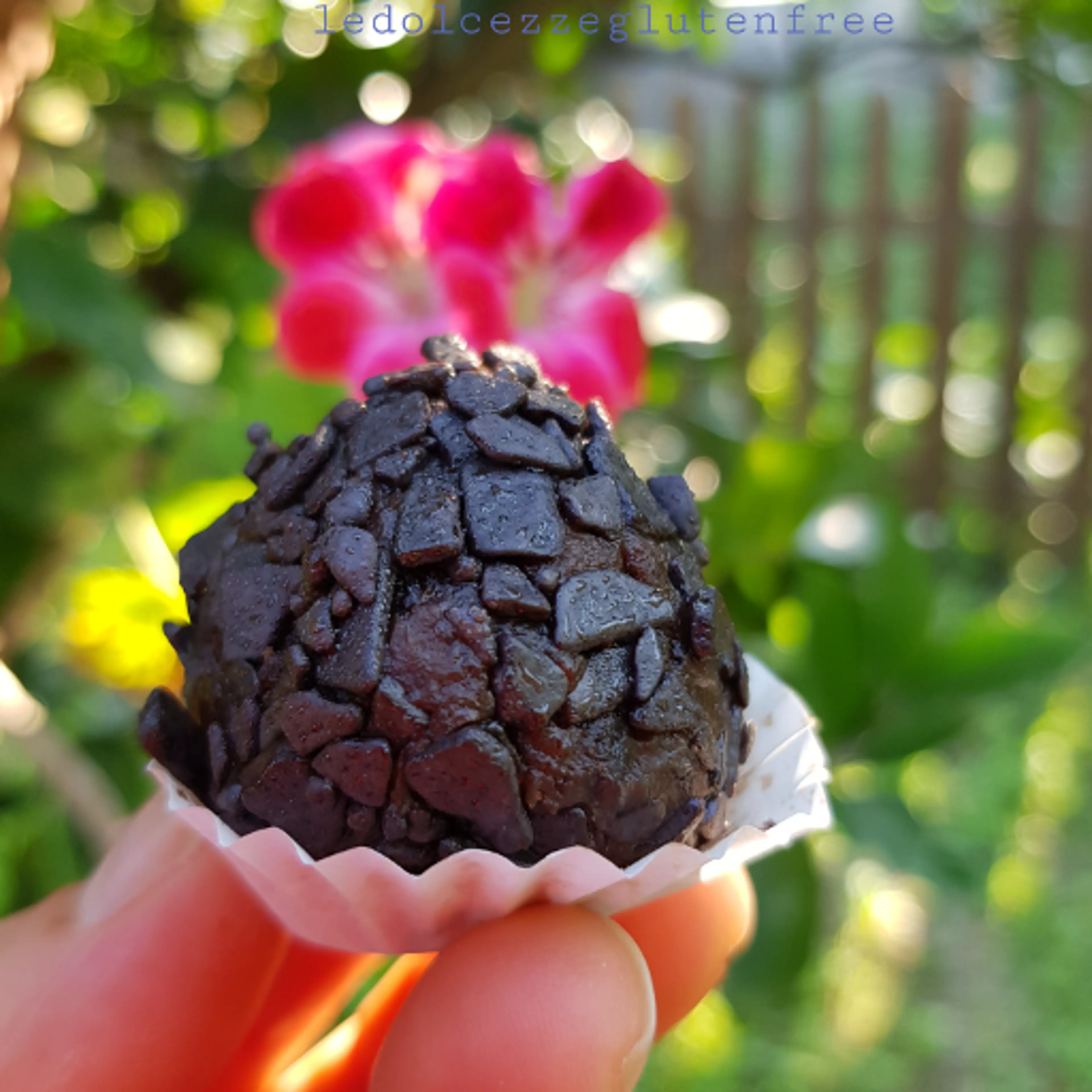 Tartufini al cioccolato con confettura di albicocche e fragole.