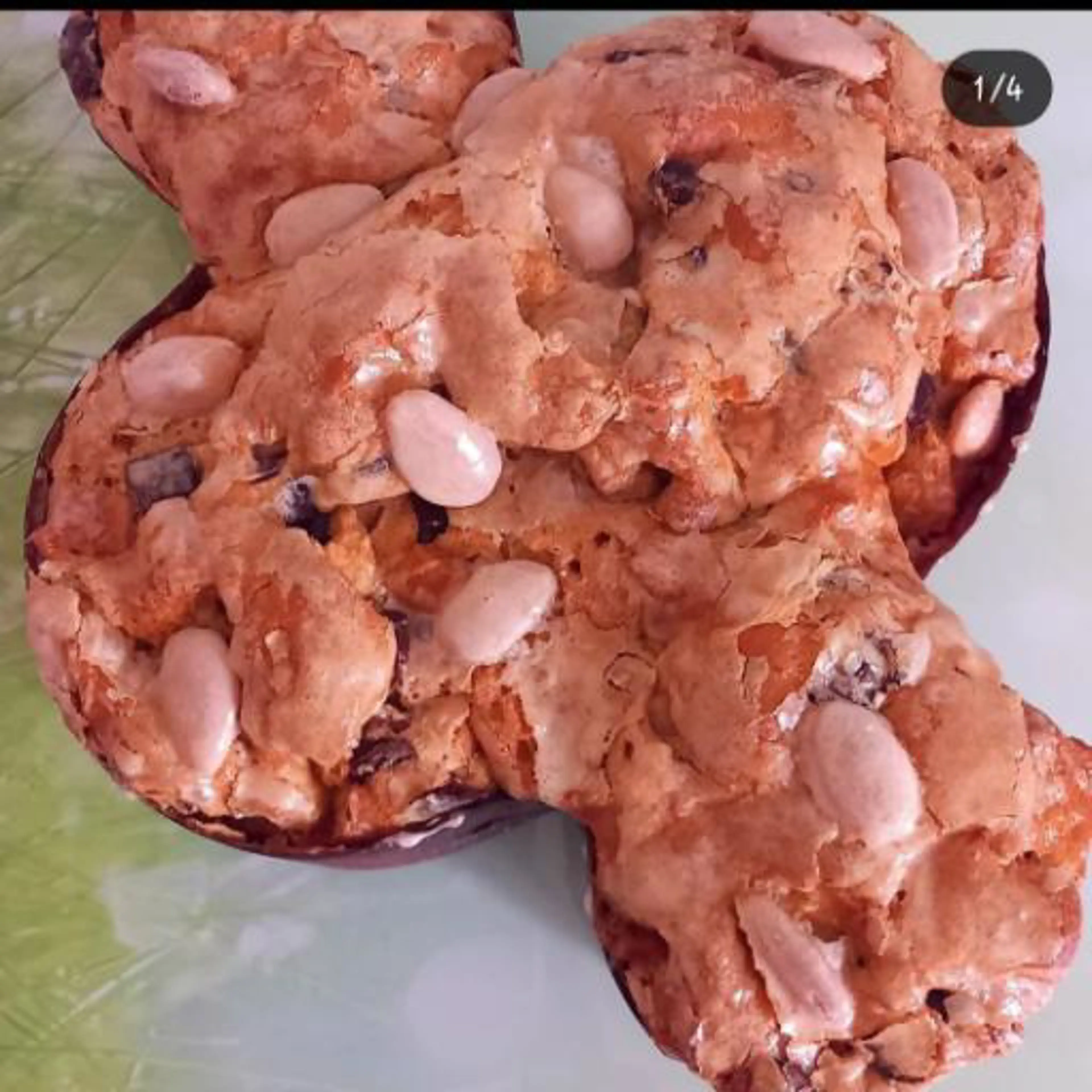 Colomba zonder gluten en zonder lactose
