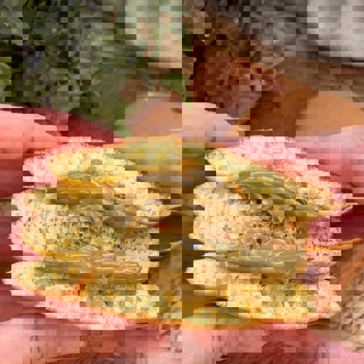 Dorayaki au pistache