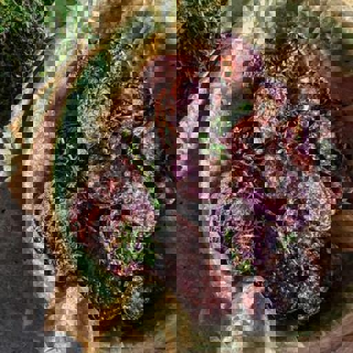 رقائق البطاطا البنفسجية