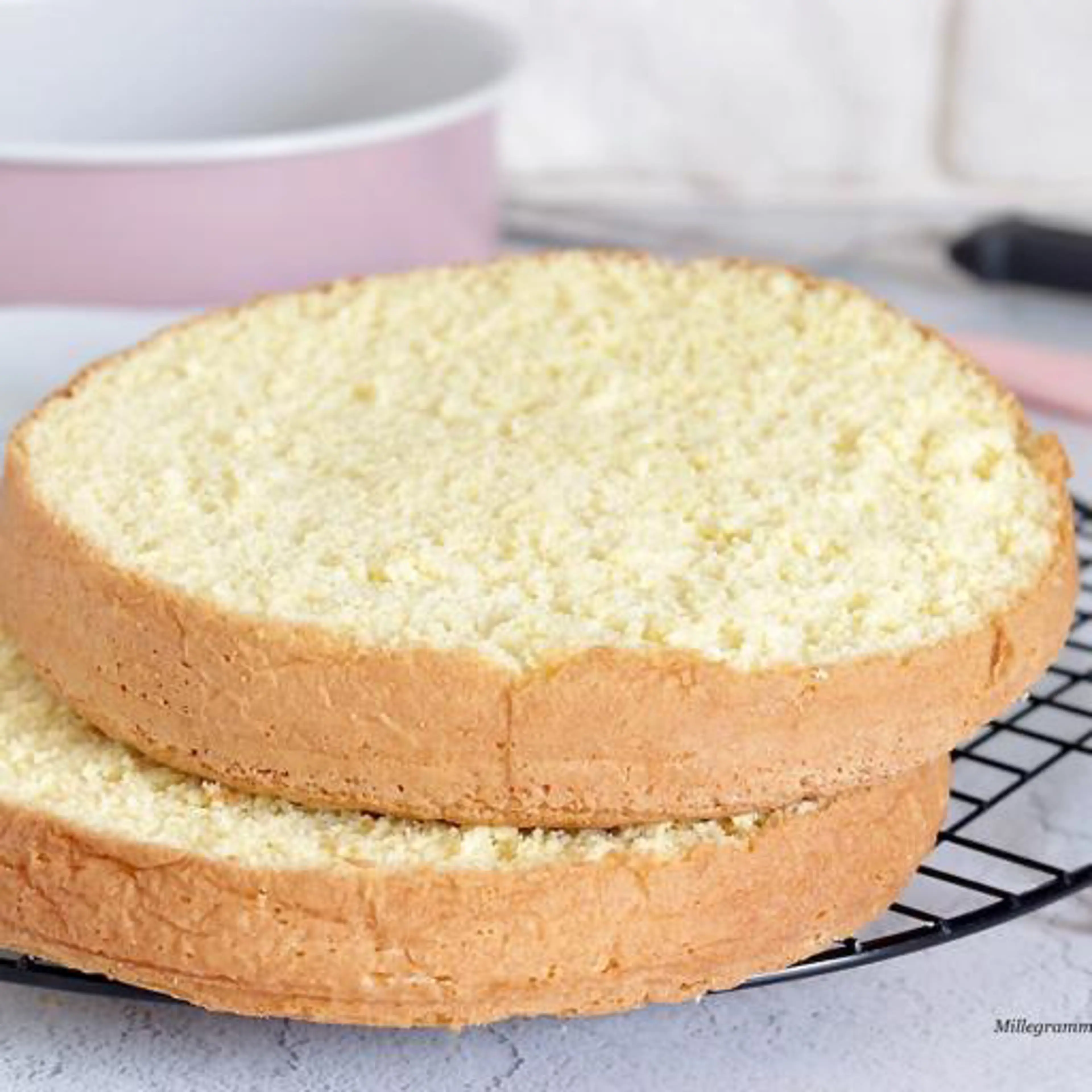 Sponge cake