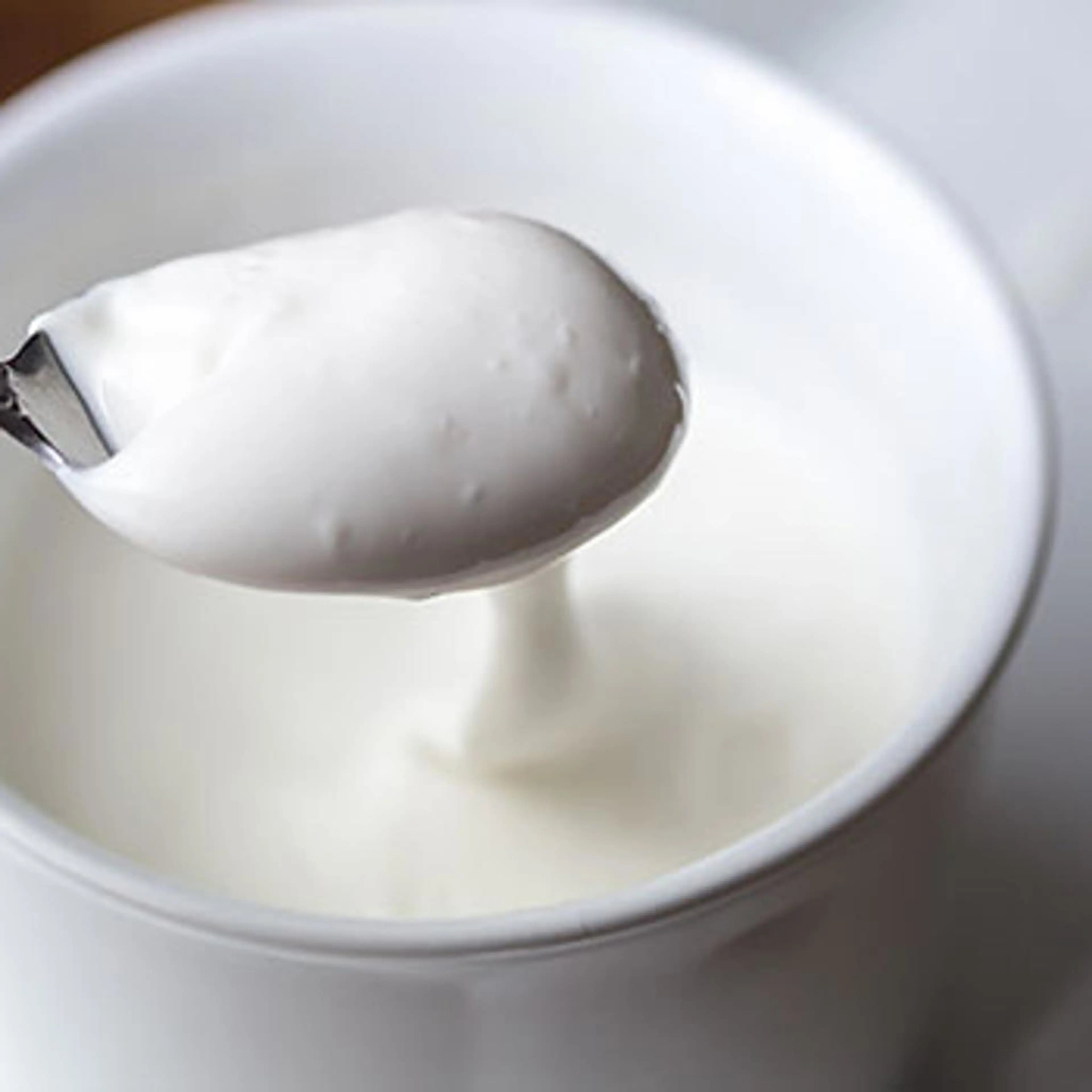 Crème sans lactose