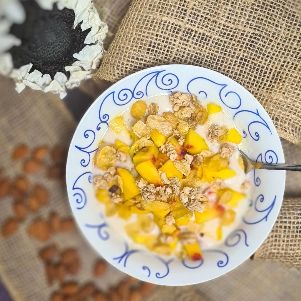 زبادي بحليب اللوز محضر في المنزل