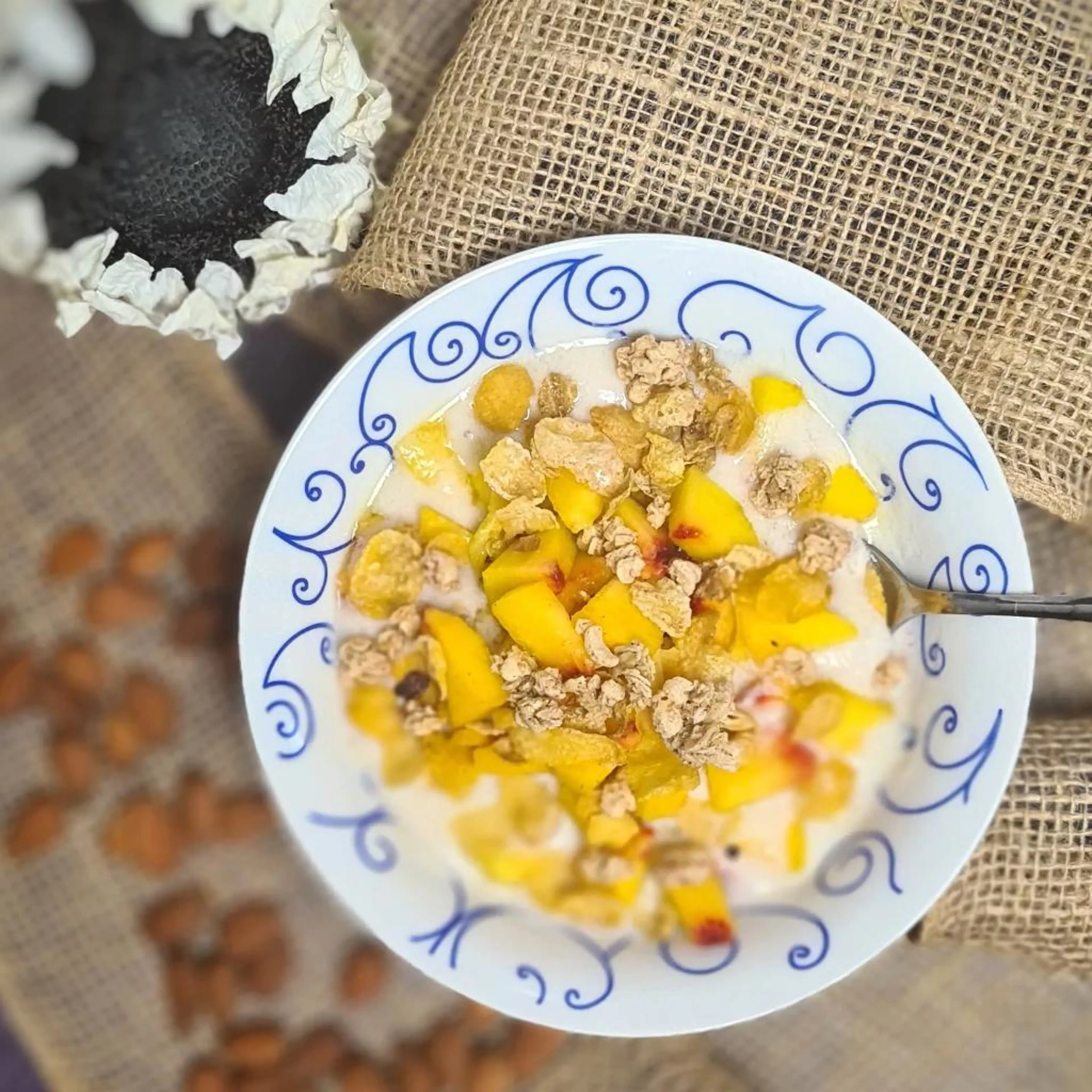 Homemade almond milk yogurt