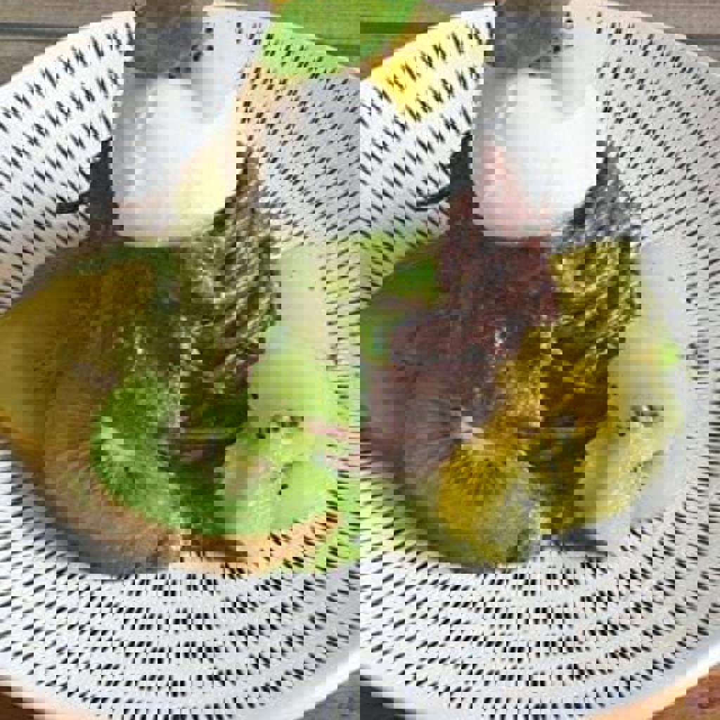 سباغيتي فينيري مع الكيوي والجبن البوفالا