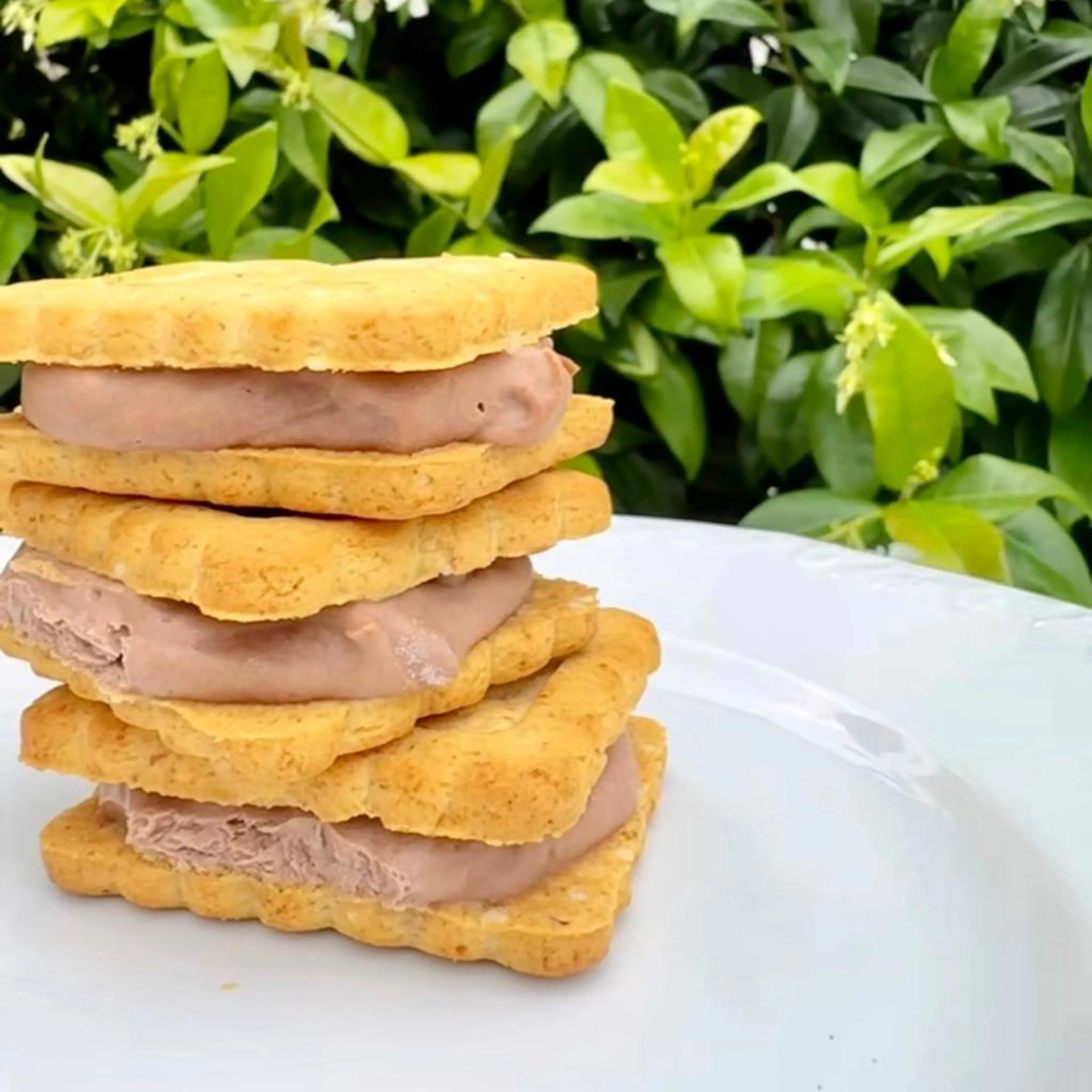 脆脆冰淇淋饼干