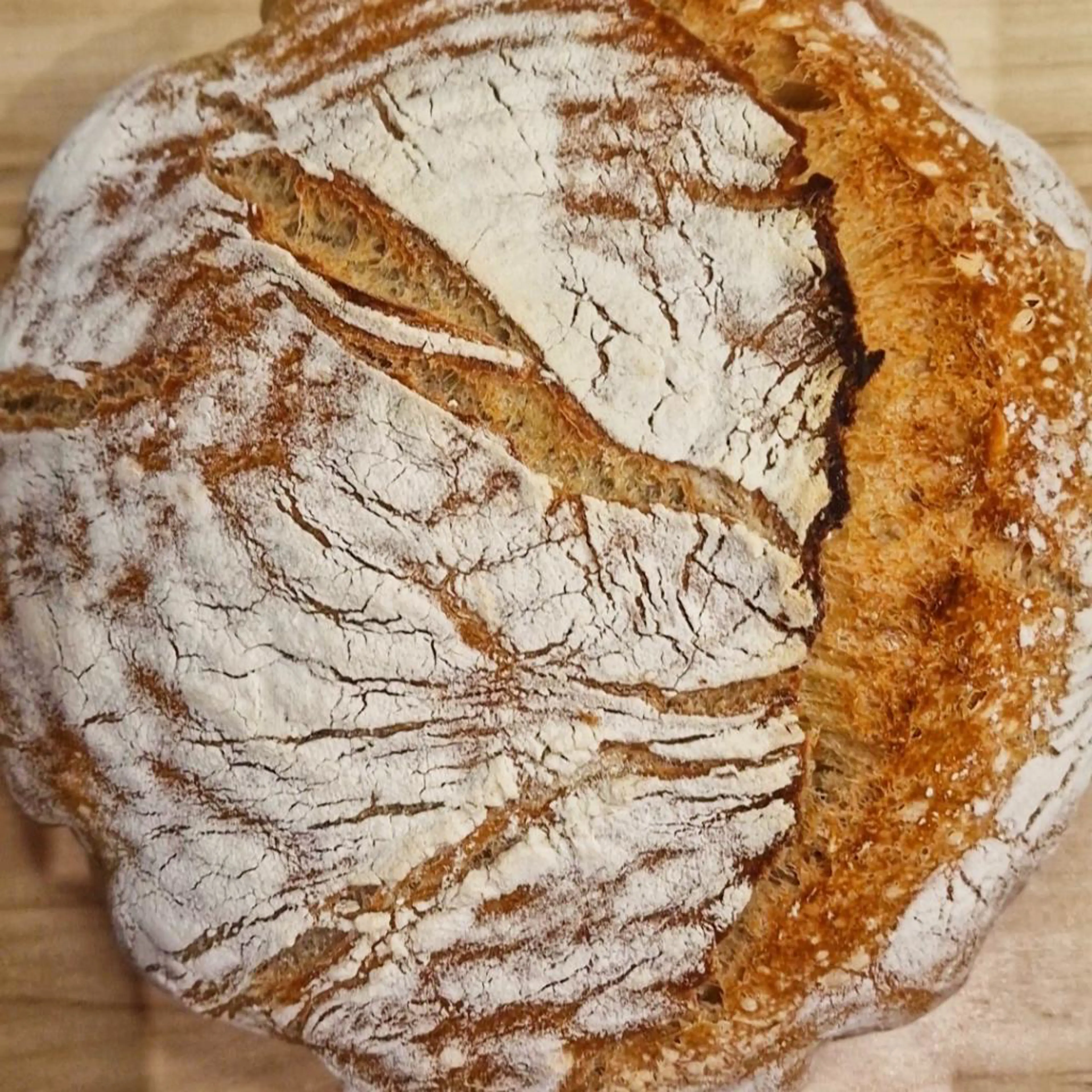 Same-day bread with fresh yeast