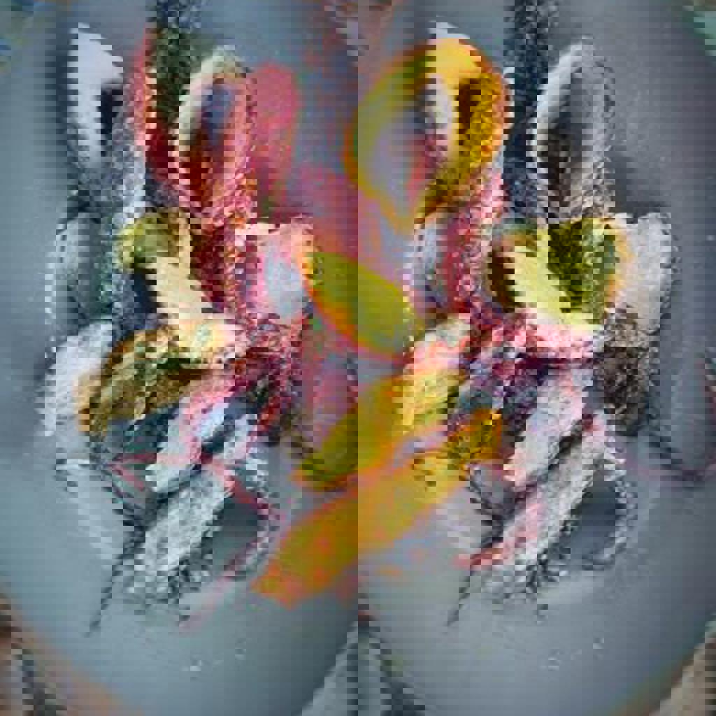 低温慢煮章鱼和土豆