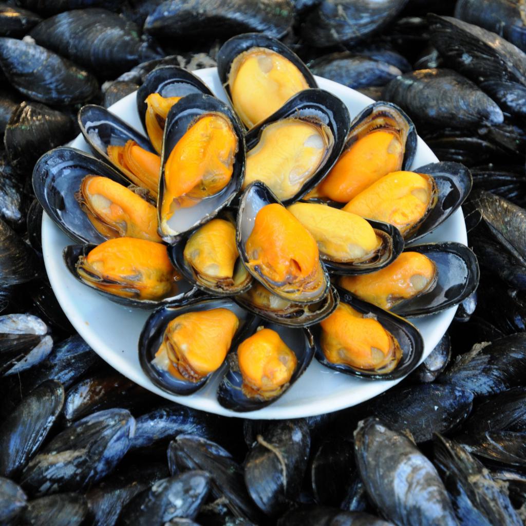 Cozze al gran blu