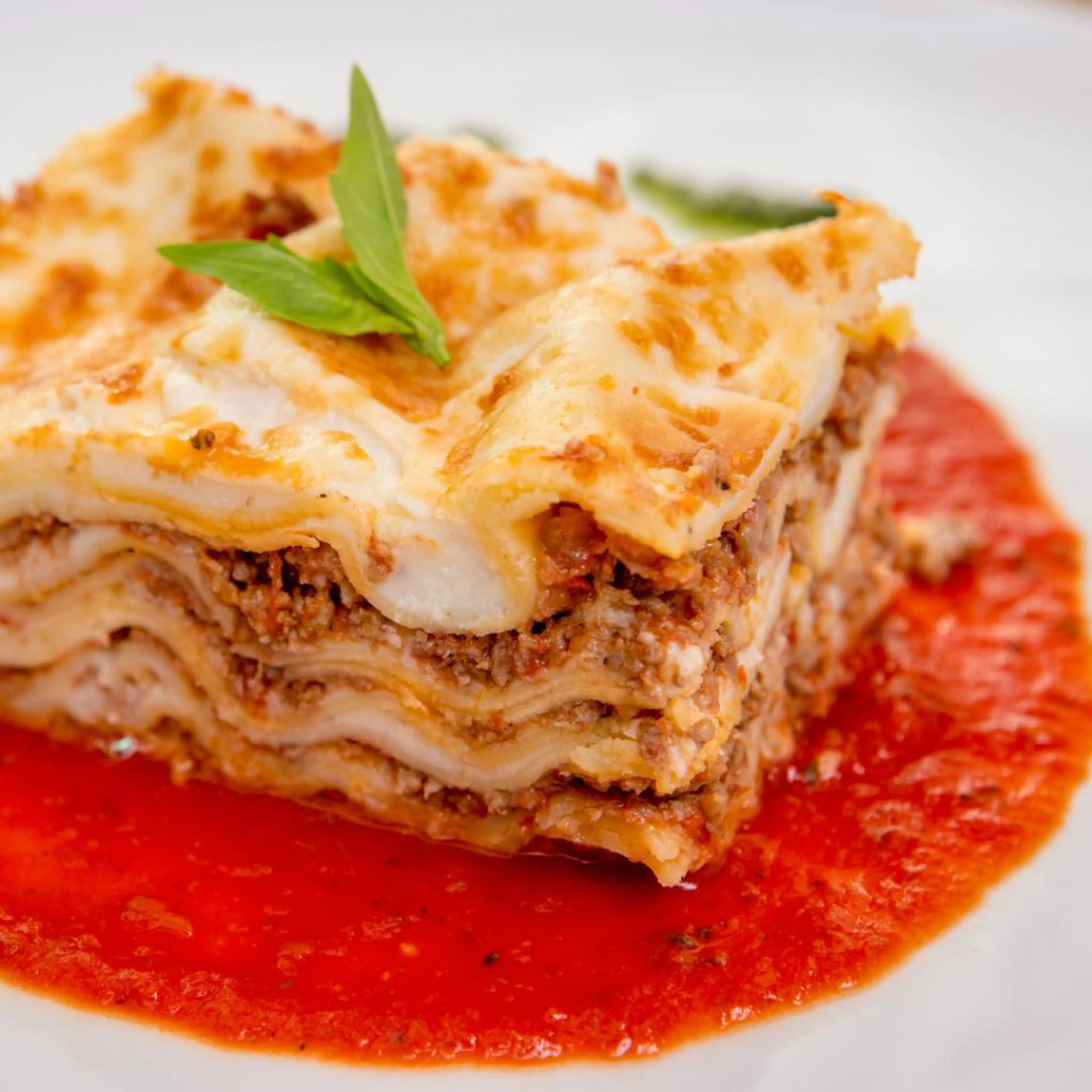 Bolognese lasagna