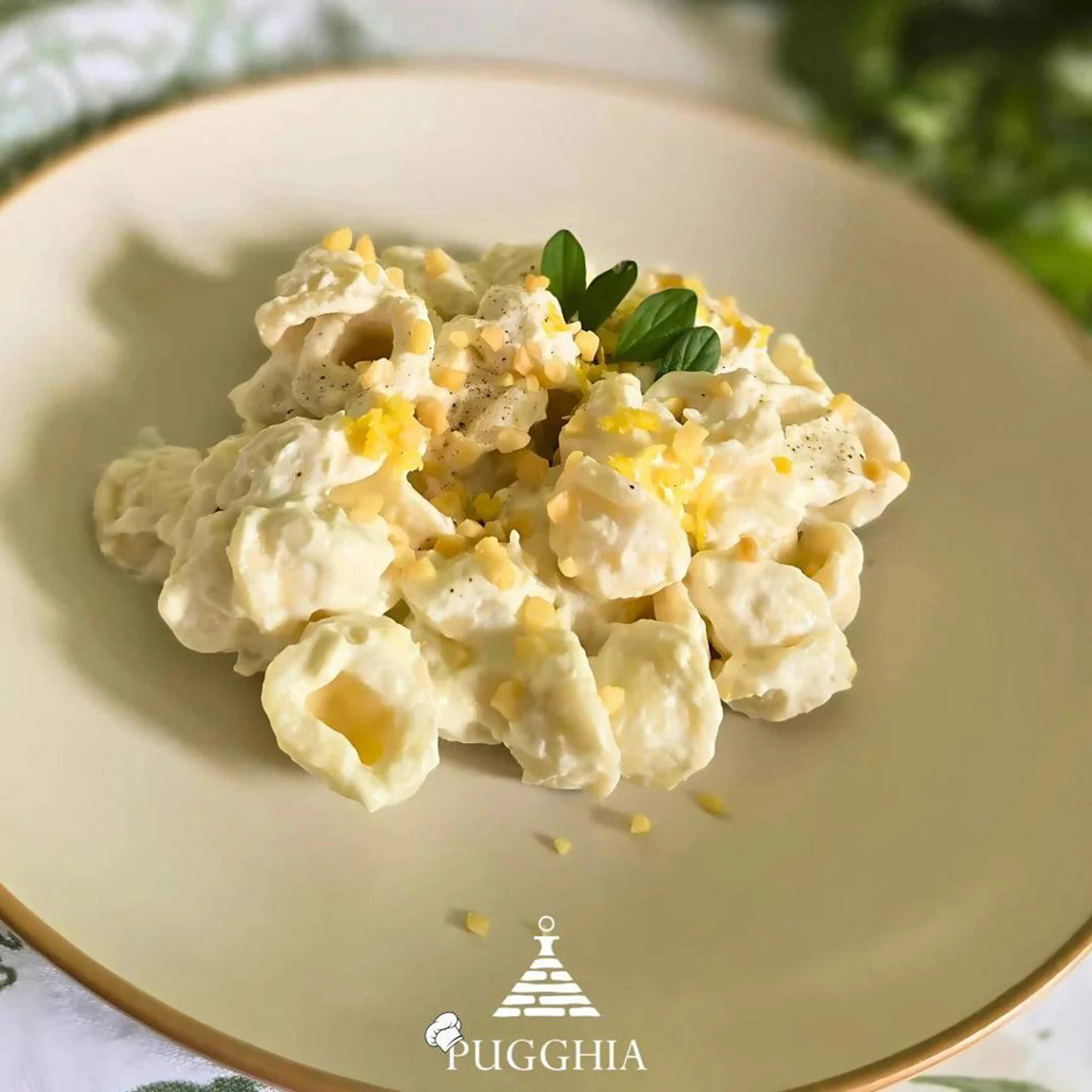 Orecchiette with ricotta, lemon and hazelnut granules