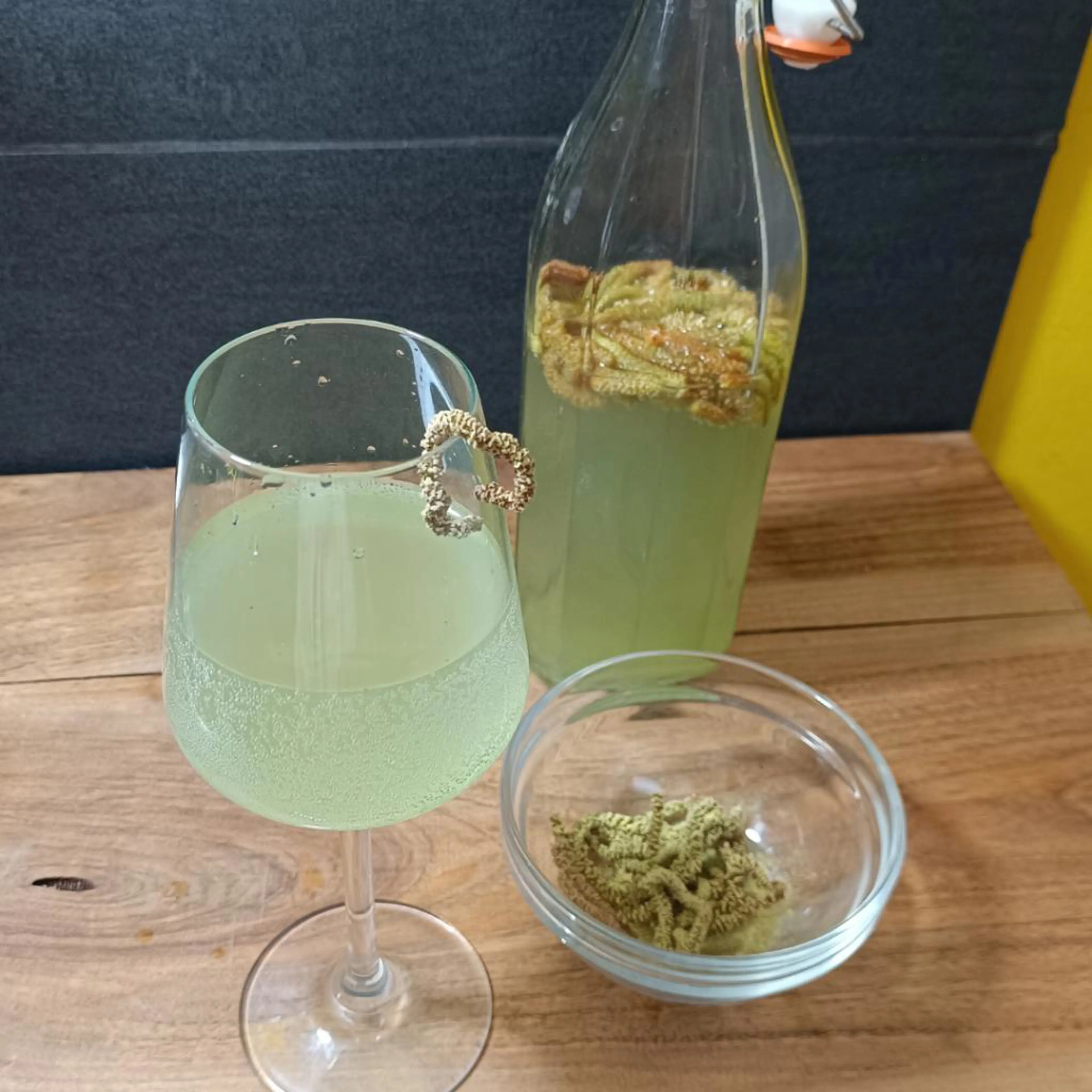 Hazelnut catkin soda