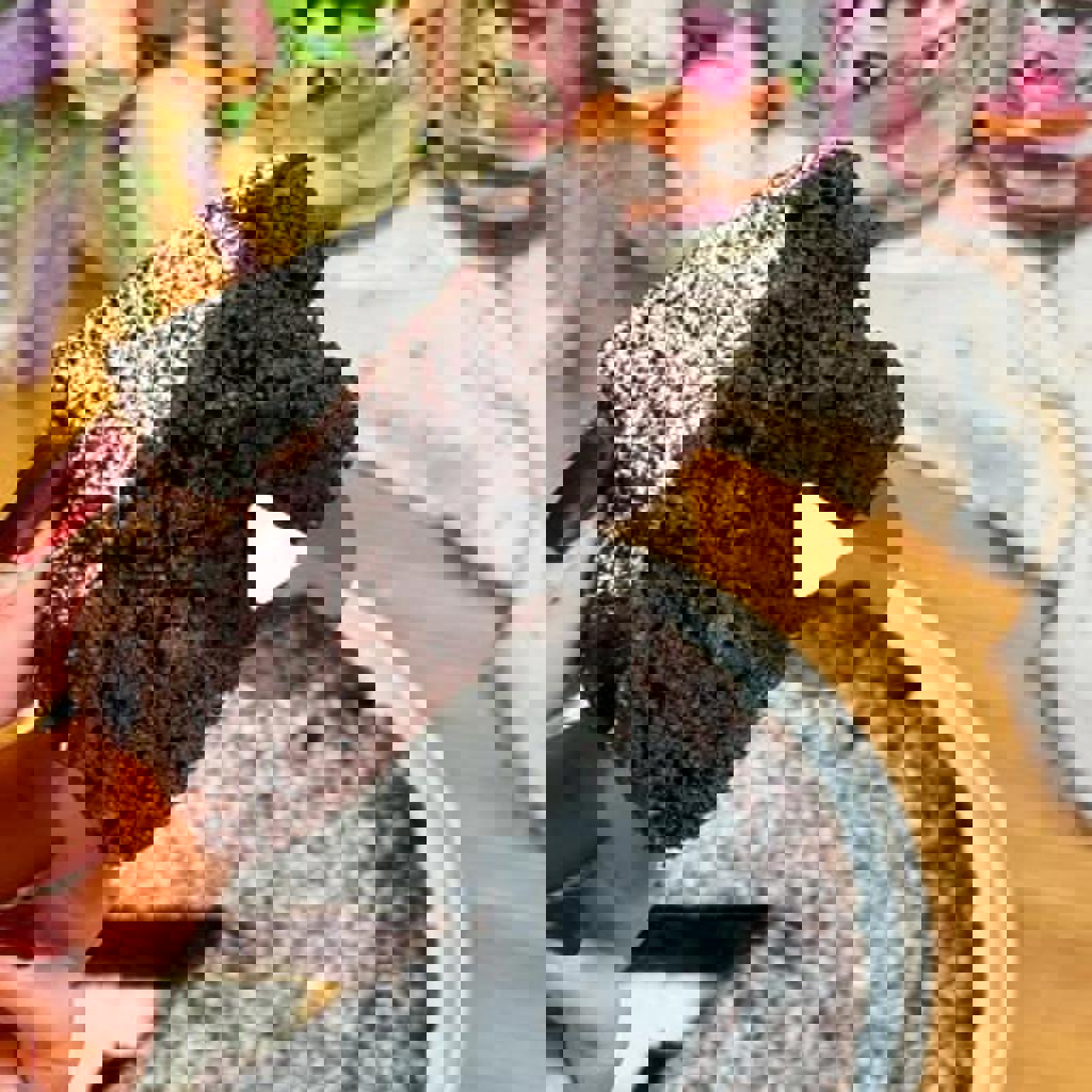 코코넛 초콜릿 케이크 (버터, 계란, 우유 없음)