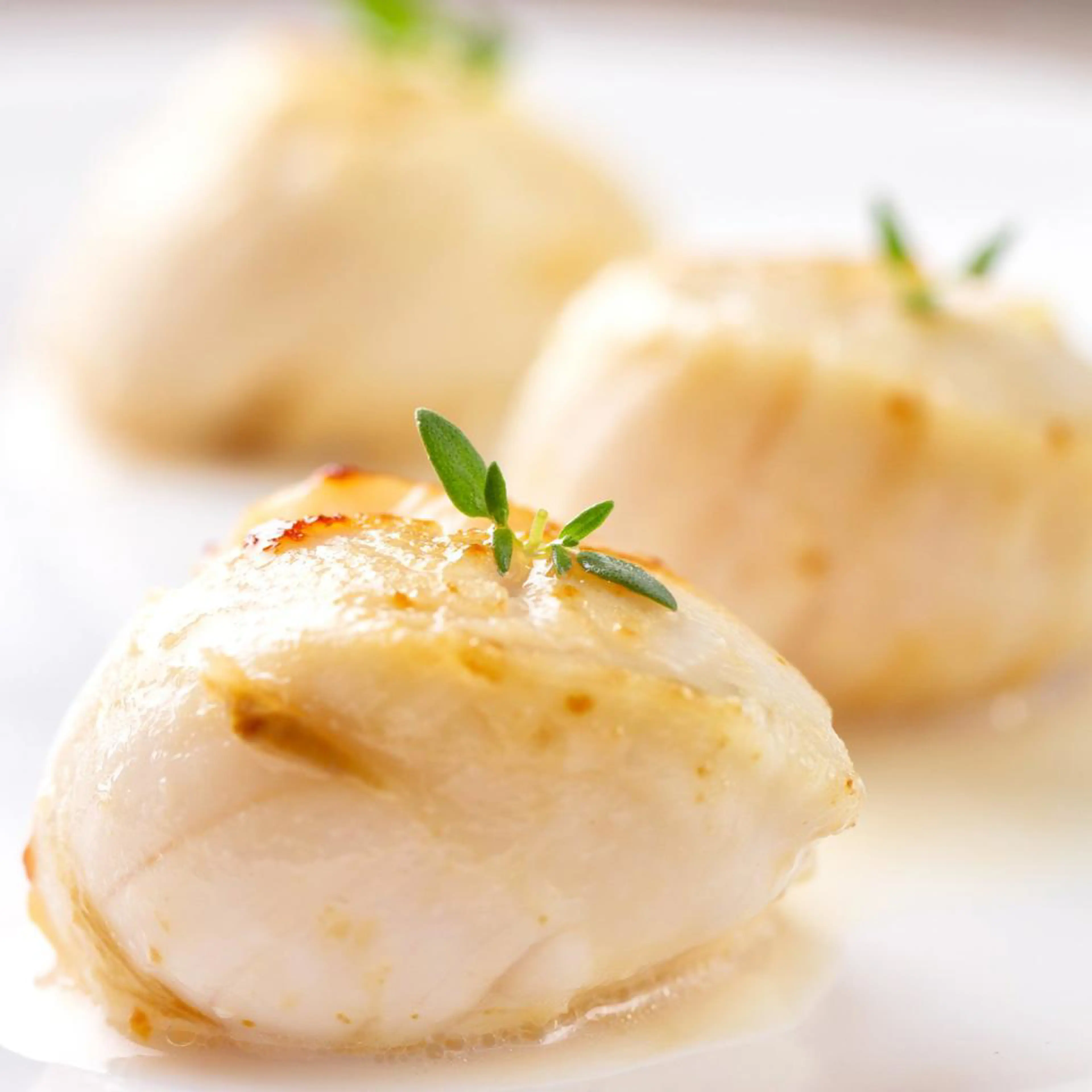 Monkfish gestoomd