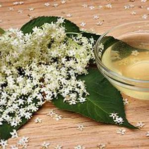 Elderberry Cream