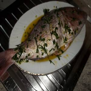 Dentice uit de oven