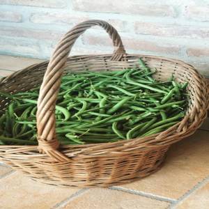 Haricots Verts Savoureux